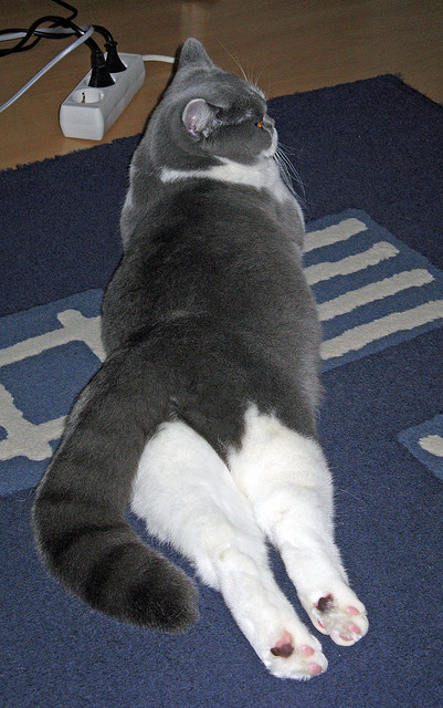 开云官方网页登录-DOTA2赛事经典回顾：TI9 OG vs Liquid，教科书般的翻盘！